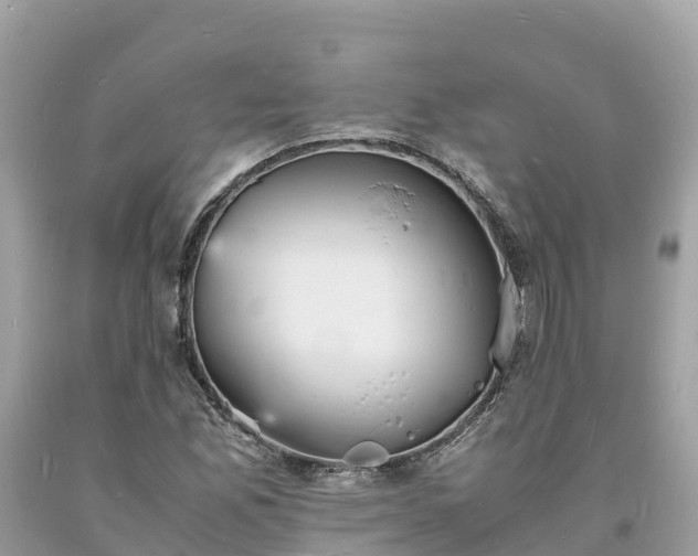 X0000093731165200710231146