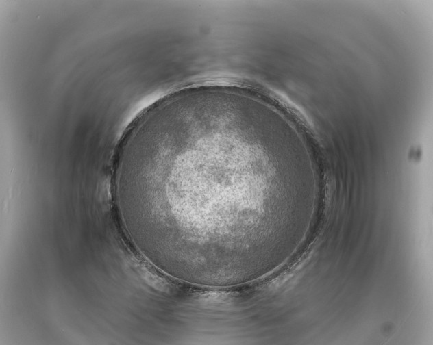 X0000093731166200710231146