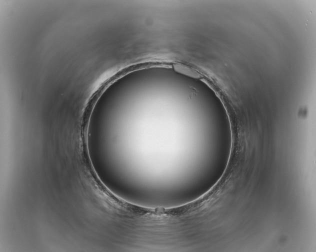 X0000093731168200710231146