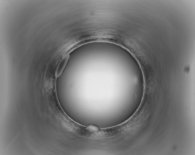 X0000093731169200710231146