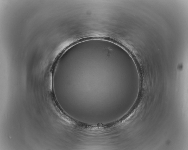X0000093731171200710231146