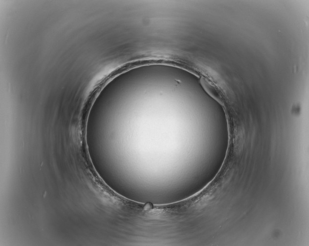 X0000093731172200710231146