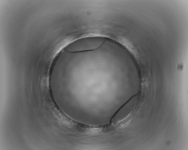 X0000093731173200710231146
