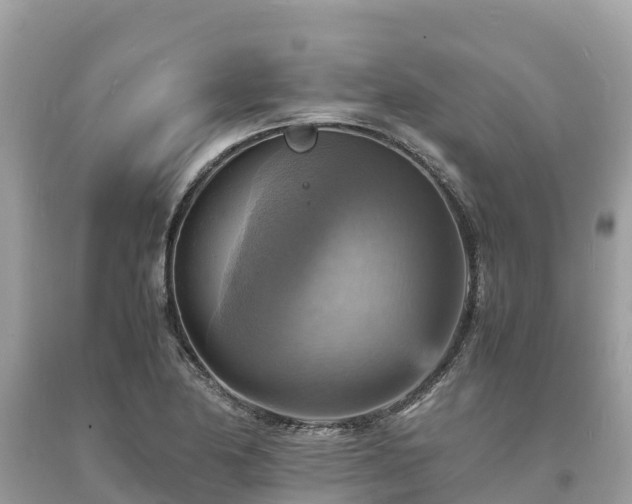 X0000093731174200710231146