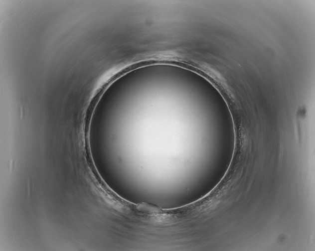 X0000093731176200710231146