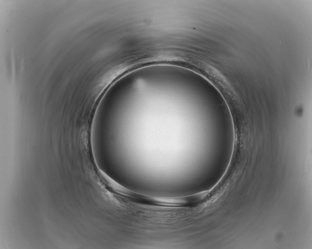 X0000093731177200710231146