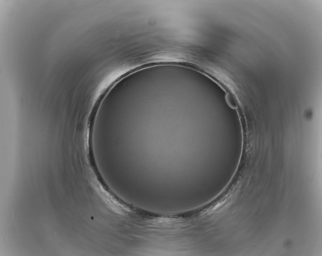 X0000093731179200710231146