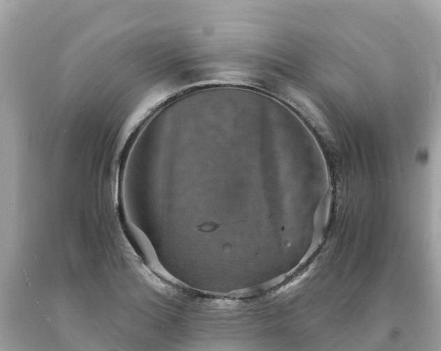 X0000093731180200710231146