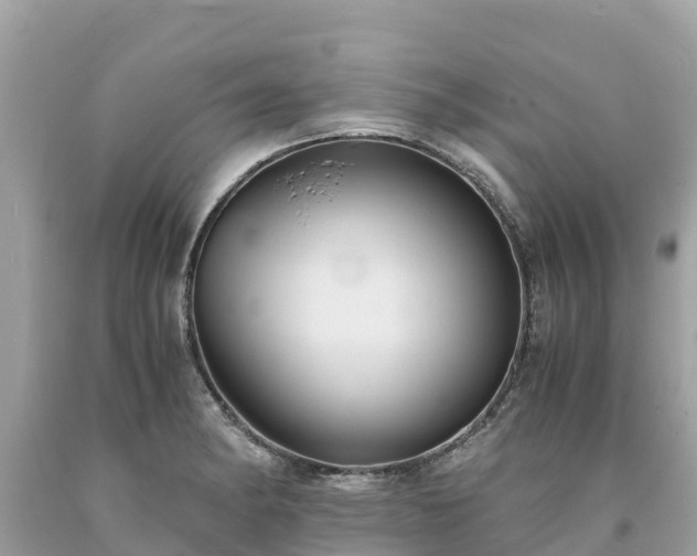 X0000093731182200710231146