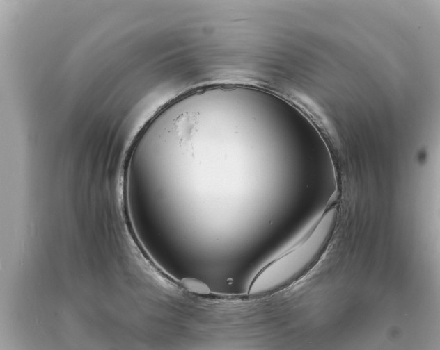 X0000093731188200710231146