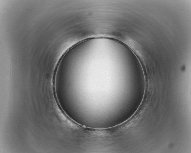 X0000093731189200710231146
