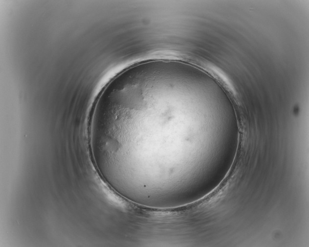 X0000093731192200710231146