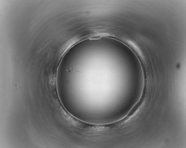 X0000093731193200710231146