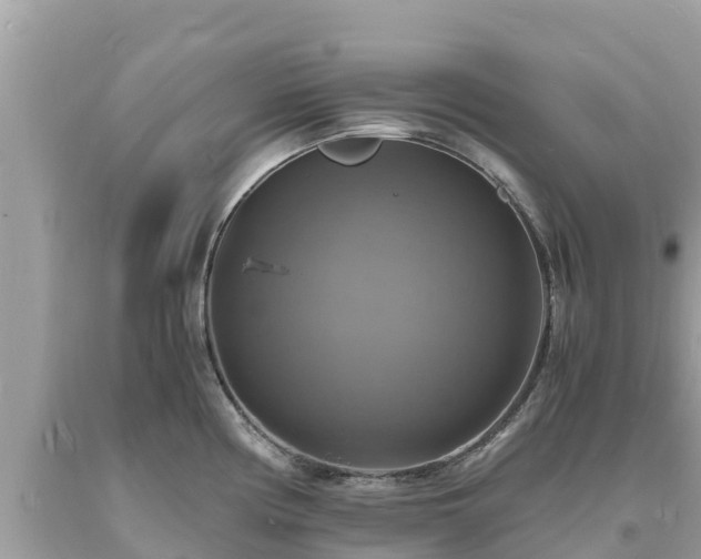 X0000093731194200710231146
