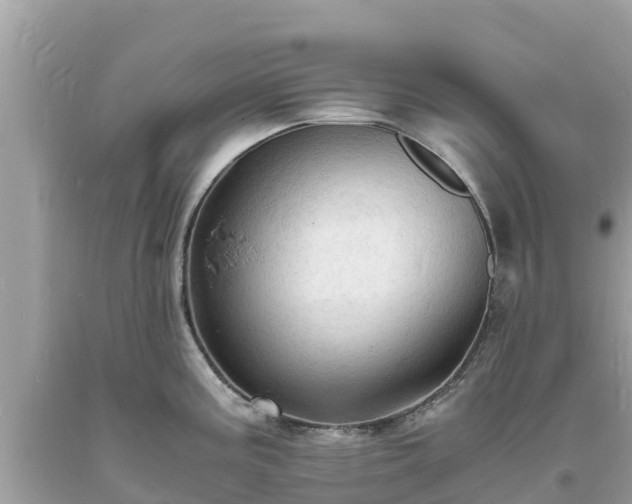 X0000093731195200710231146