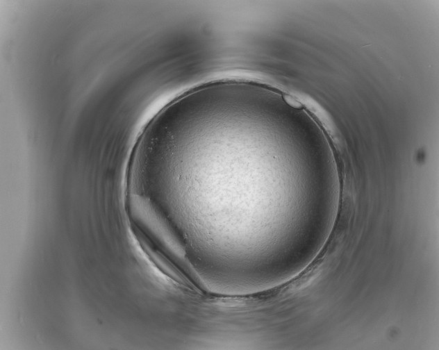 X0000093731199200710231146