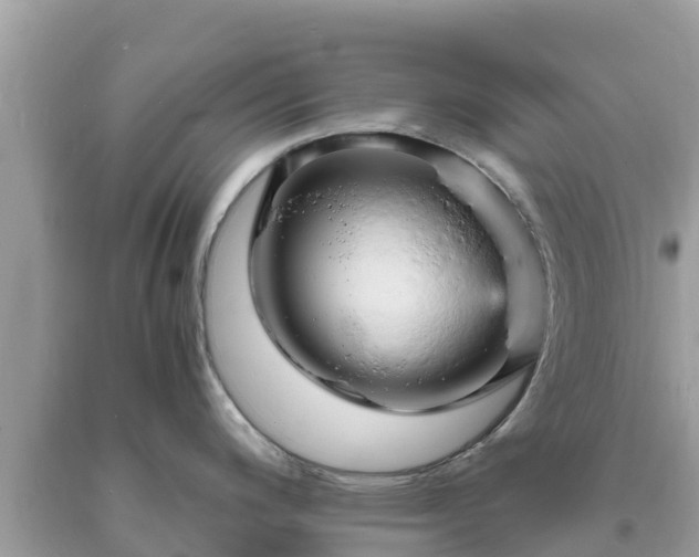 X0000093731200200710231146