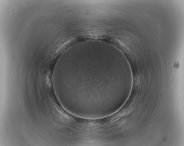 X0000093731202200710231145