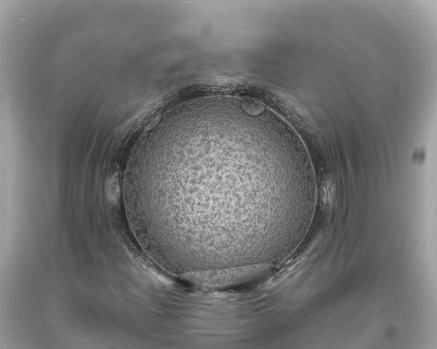 X0000093731204200710231145