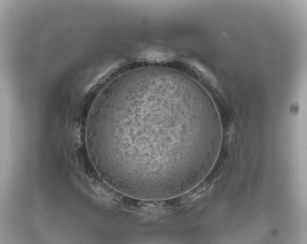 X0000093731205200710231145