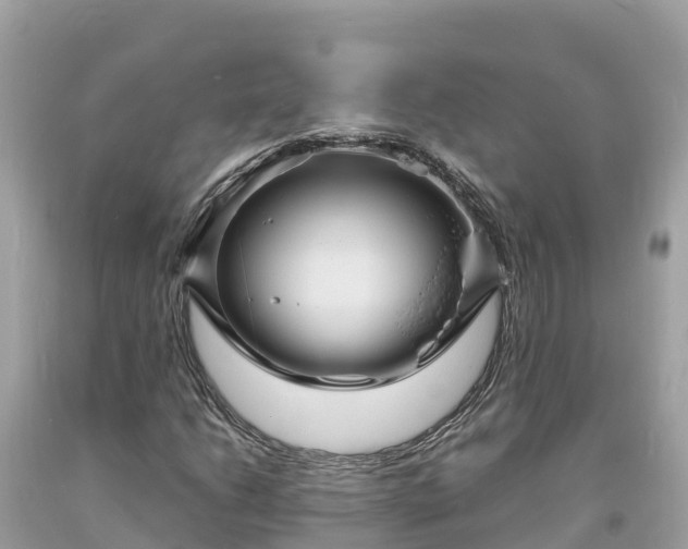 X0000093731206200710231145
