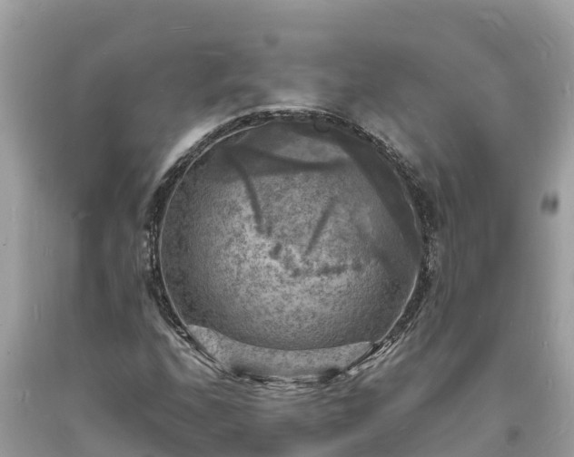 X0000093731208200710231145