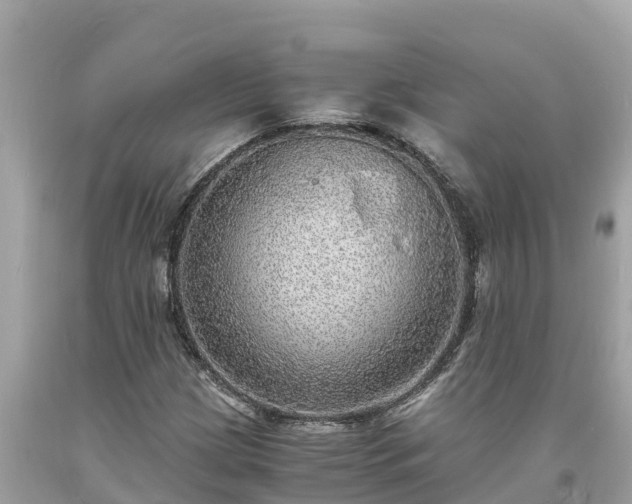 X0000093731209200710231145