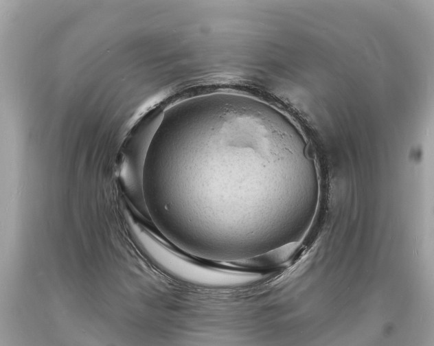 X0000093731210200710231145