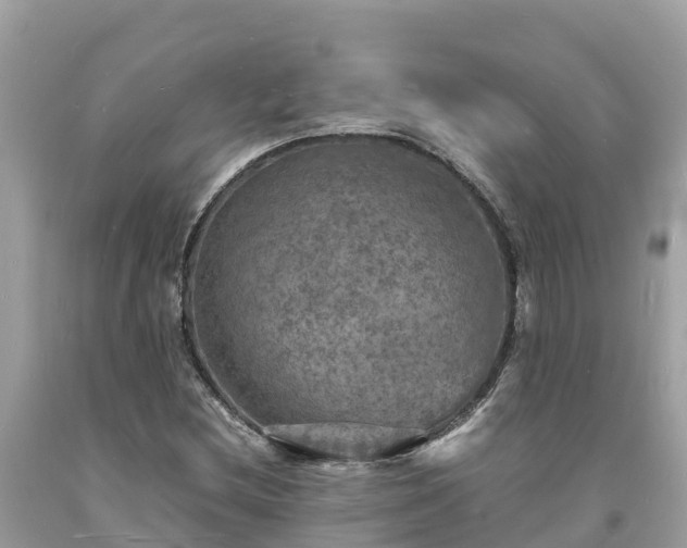 X0000093731212200710231145