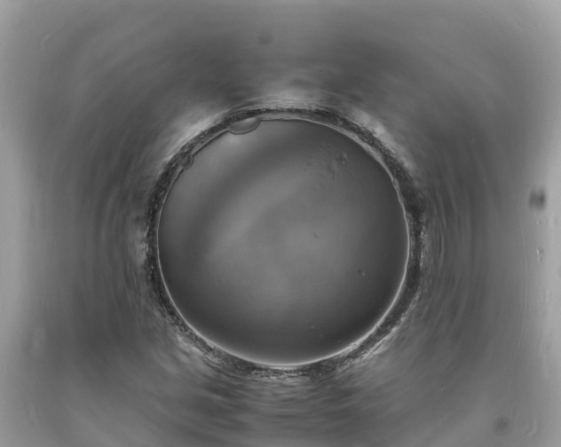 X0000093731213200710231145