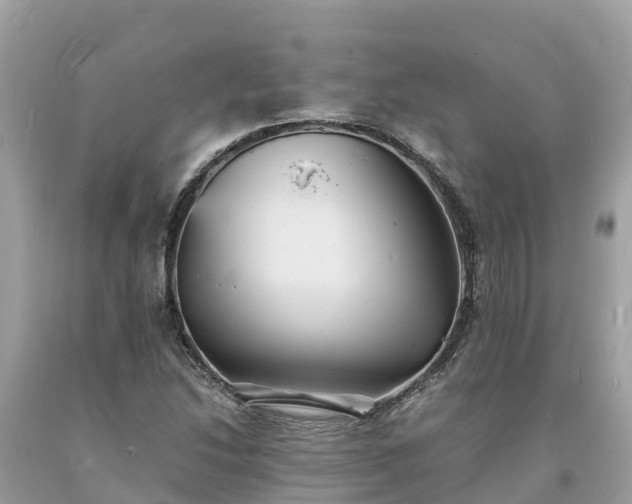 X0000093731214200710231145