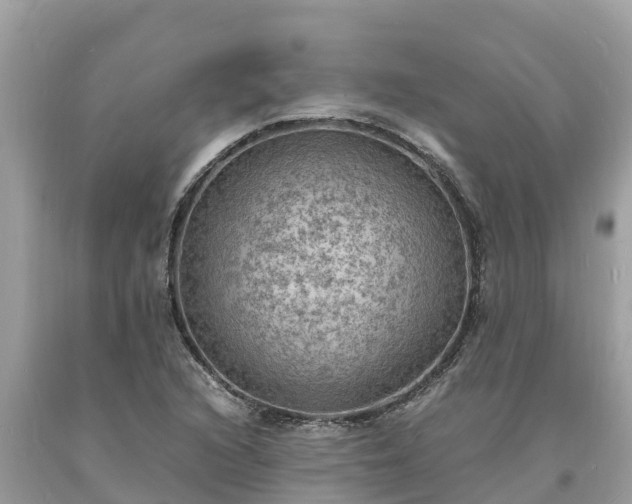 X0000093731216200710231145