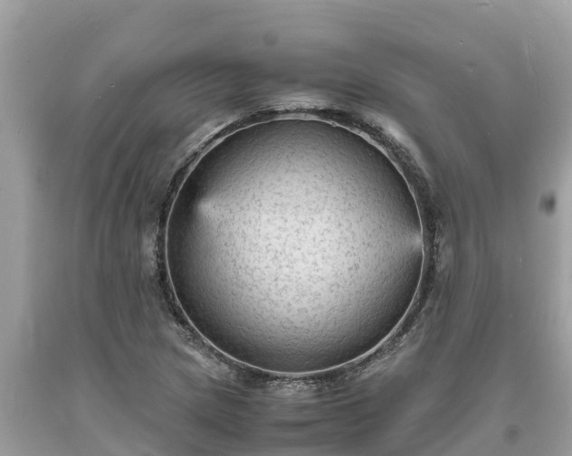 X0000093731217200710231145