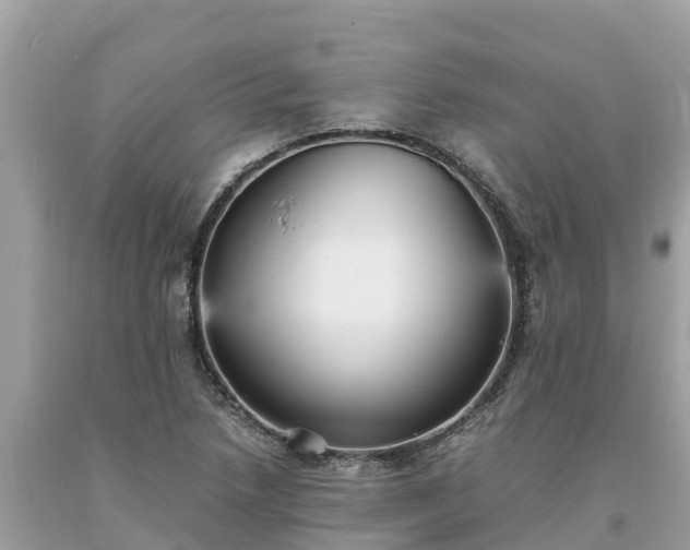 X0000093731218200710231145