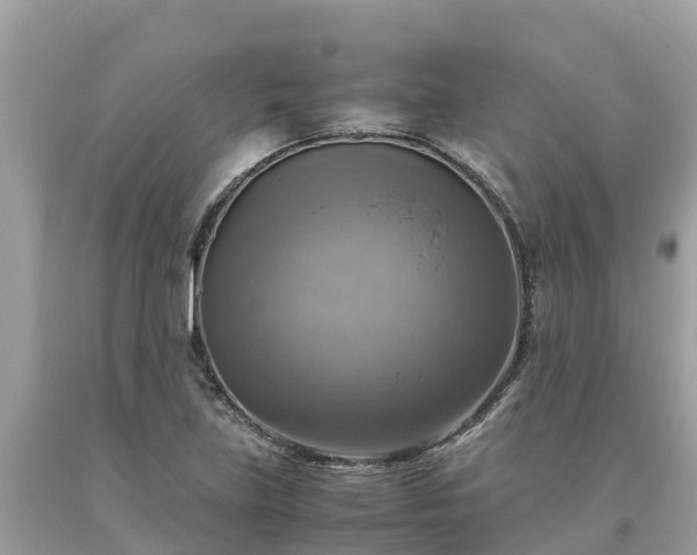 X0000093731219200710231145