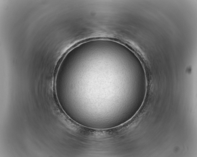 X0000093731220200710231145