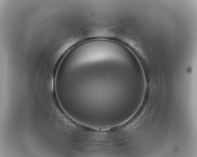 X0000093731221200710231145