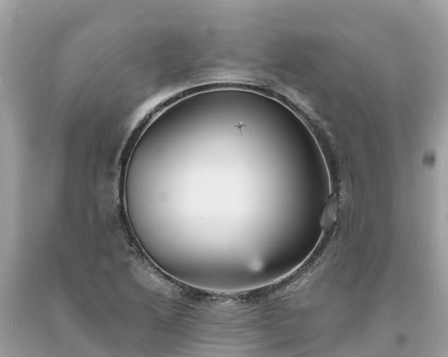 X0000093731222200710231145