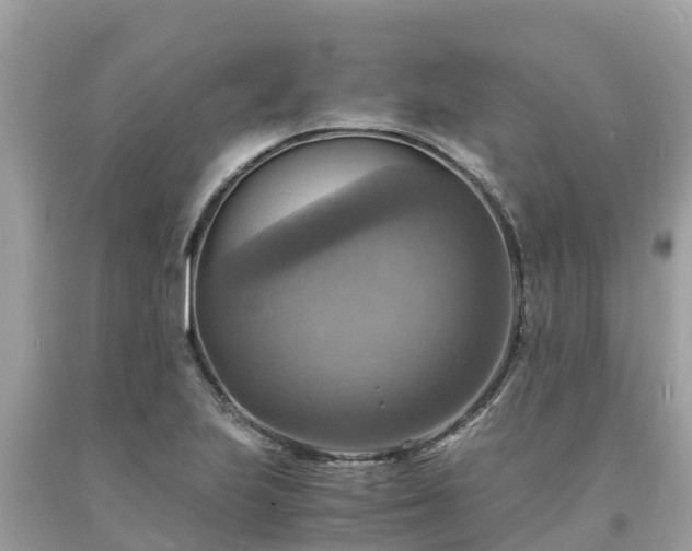X0000093731223200710231145
