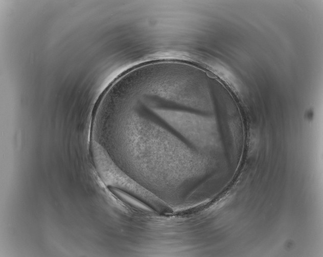 X0000093731228200710231145