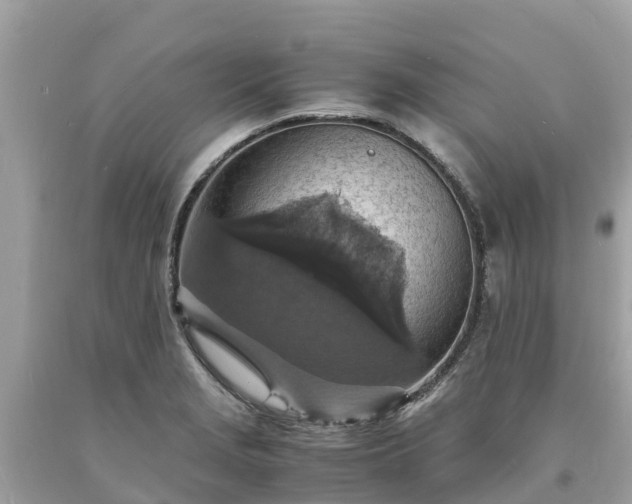 X0000093731229200710231145