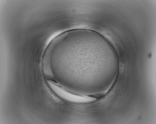 X0000093731230200710231145