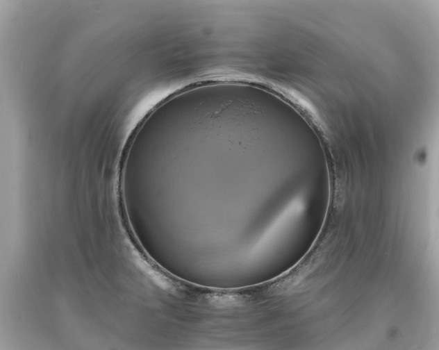 X0000093731231200710231145