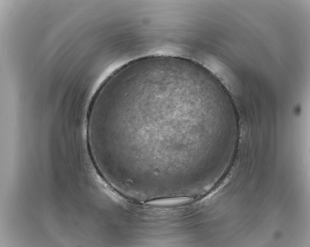 X0000093731232200710231145