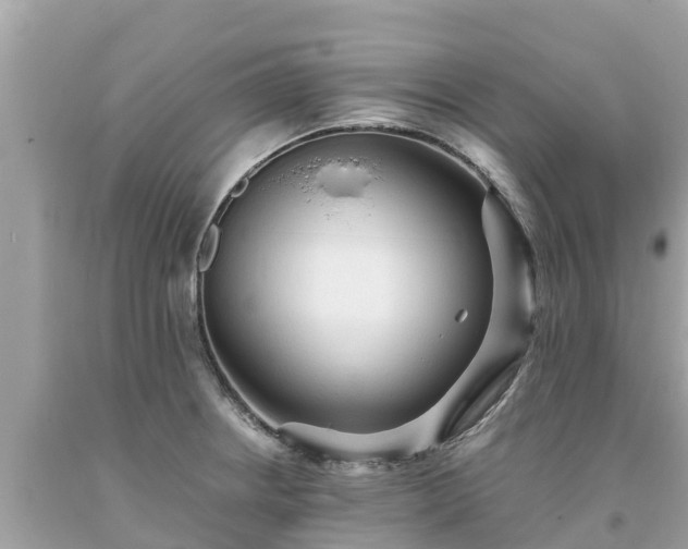 X0000093731234200710231145
