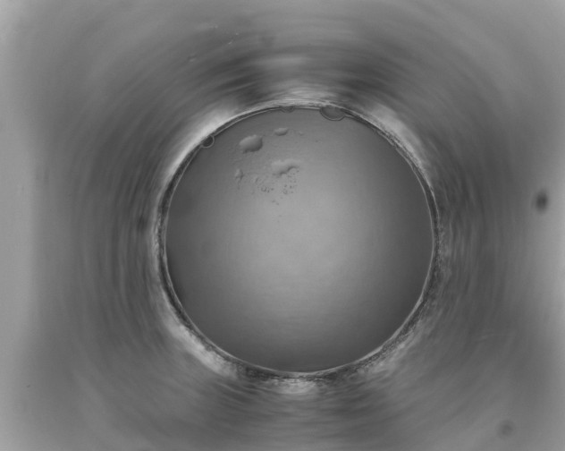 X0000093731235200710231145