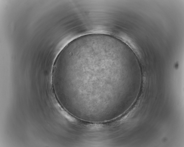 X0000093731236200710231145