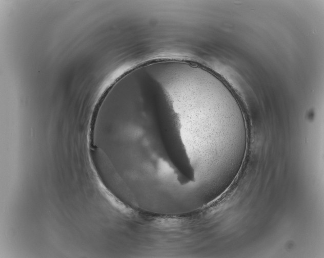 X0000093731237200710231145