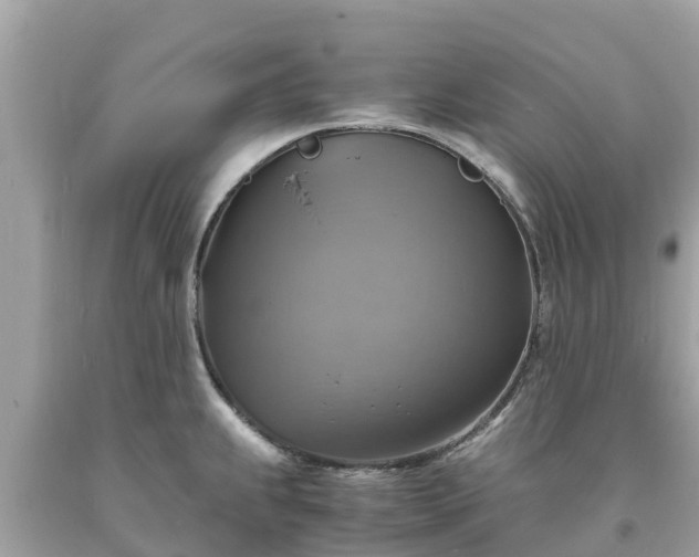 X0000093731239200710231145
