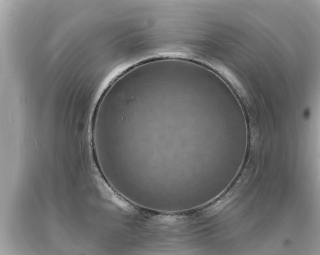 X0000093731240200710231145